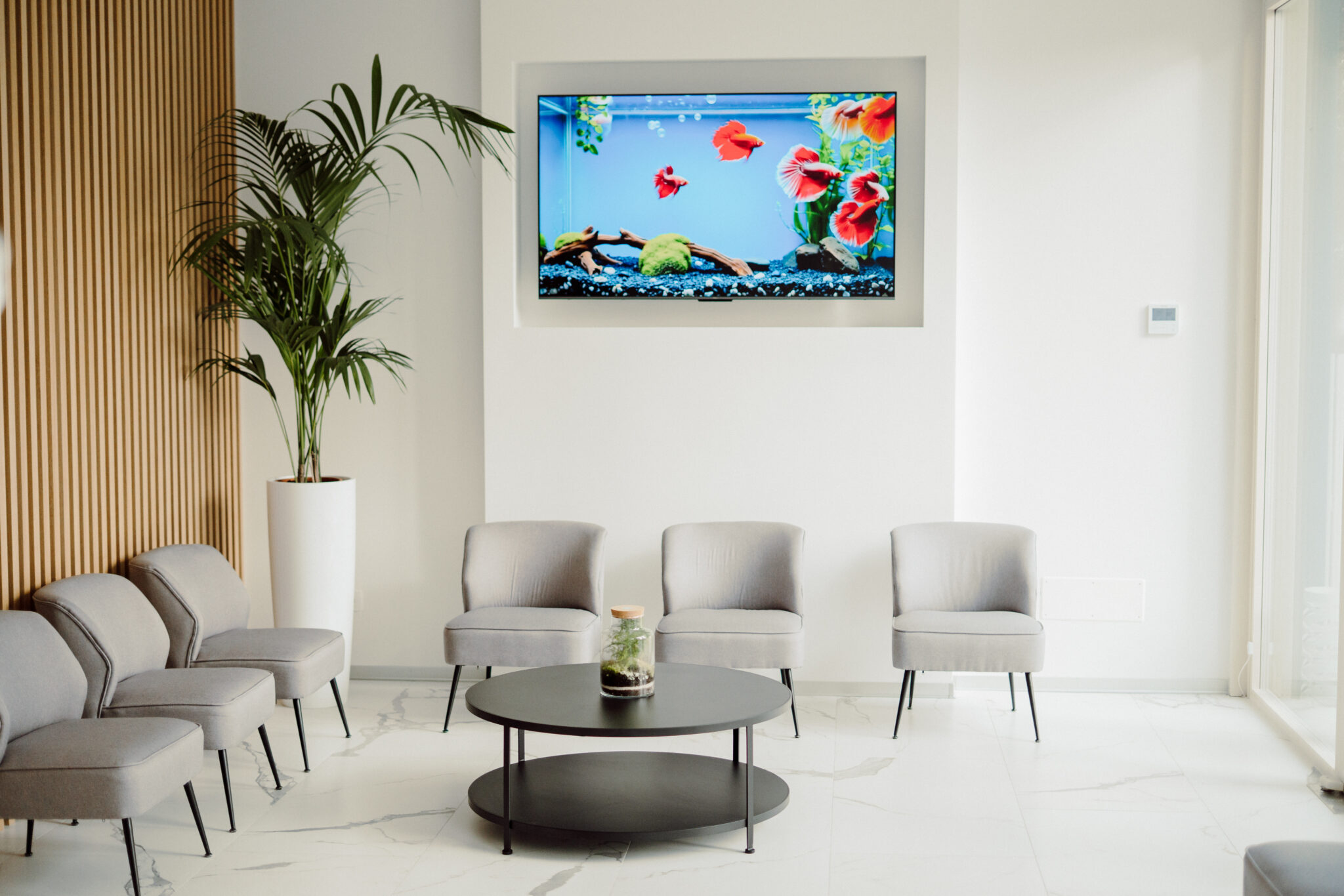 Studio DentisticoMV-35